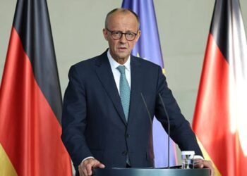 Friedrich Merz Privatvermögen